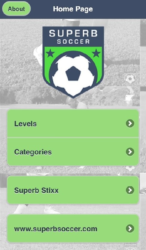 Superb Soccer截图5