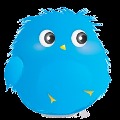 Furry Birds截图5