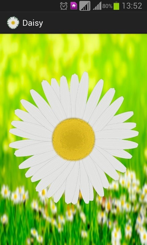 Daisy - the love o meter game截图5