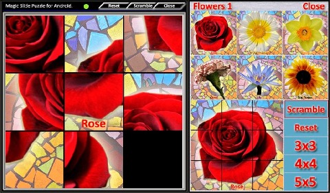 Magic Slide Puzzle Flowers1截图5