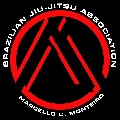 BJJ COACH ASSOC. JIU JITSU截图5