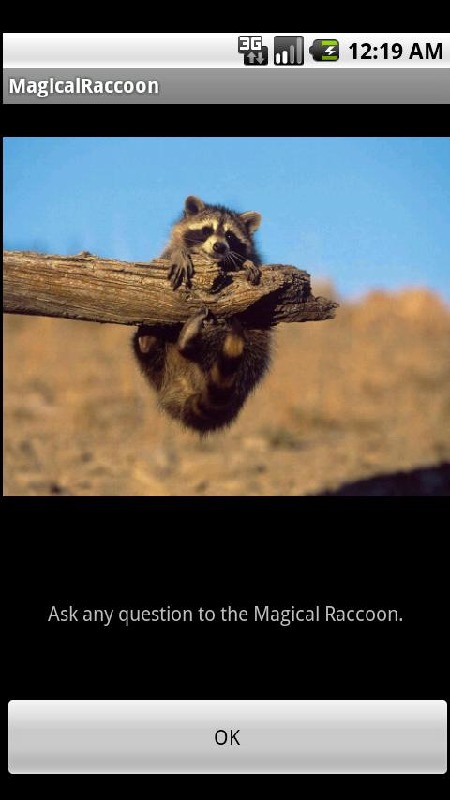 Magical Raccoon截图