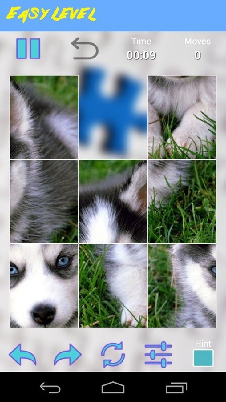 Husky Jigsaw Puzzle截图2