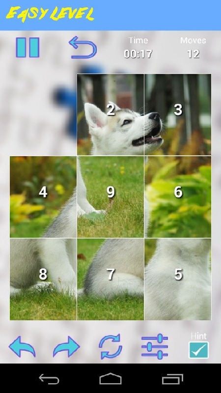 Husky Jigsaw Puzzle截图