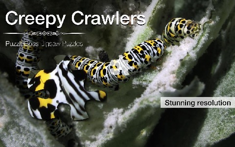 Creepy Crawler Jigsaw Puzzles截图5