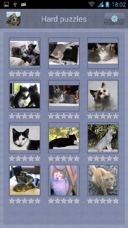 Cat Puzzle for Kids截图5