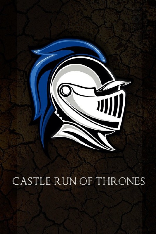 Castle Run of Thrones截图5