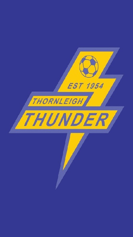 Thornleigh Thunder FC截图5