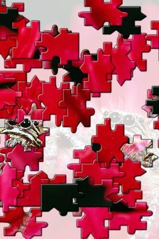 Bird Jigsaw Puzzle截图