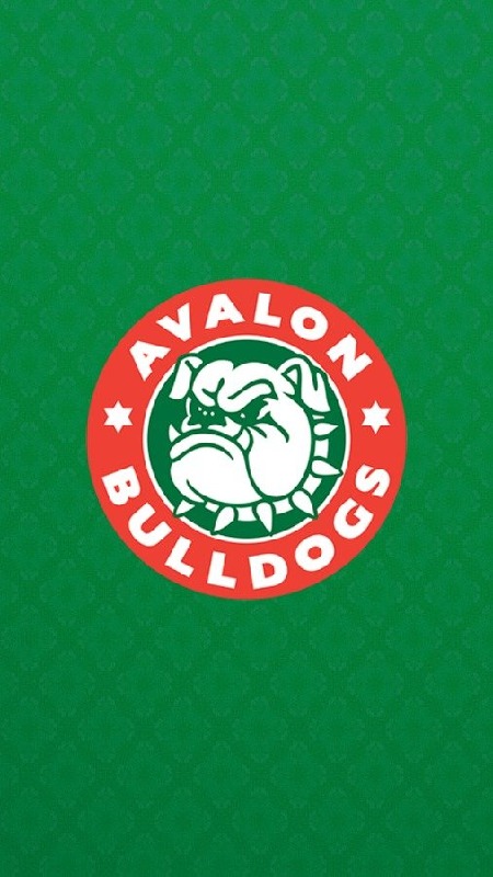 Avalon Bulldogs JRLFC截圖5