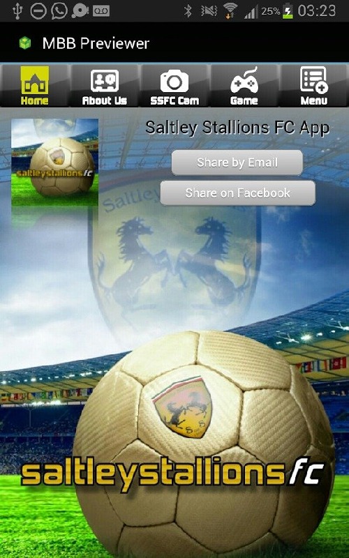 Saltley Stallions FC截圖5