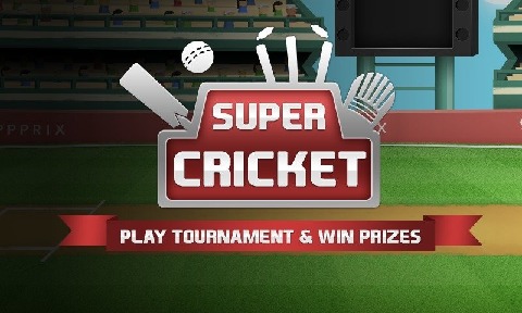 Super Cricket '14截图5