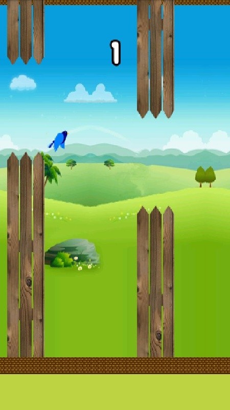 1stBirdy截图5