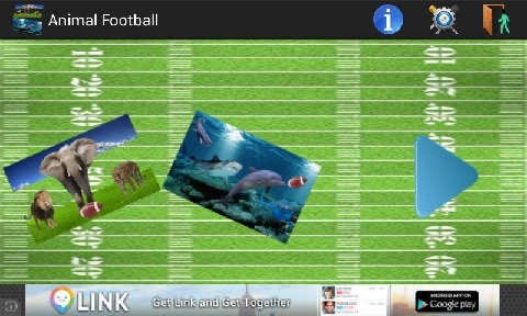 Animal Football截图5