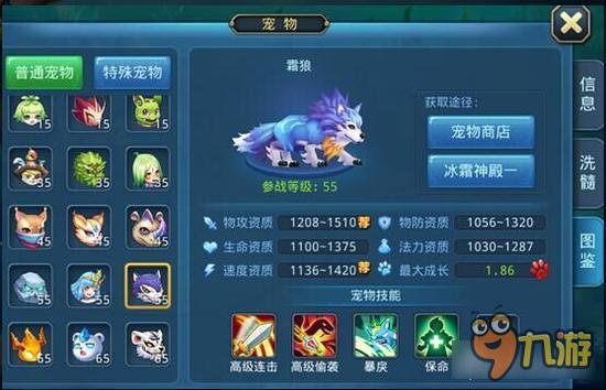 星辰奇缘宠物资质讲解 宠物资质的重要性