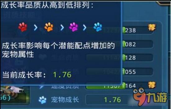 星辰奇缘宠物资质讲解 宠物资质的重要性