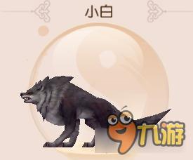 宠物小白怎么样 御剑情缘宠物小白属性详解
