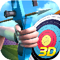 射箭世界冠军3D无敌