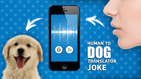 翻译到狗语言的笑话_翻译到狗语言的笑话攻略