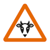 OIE Rinderpest Serious Game