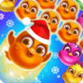 Bubble Birds V