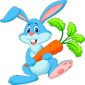 Animal Feeding for Kids
