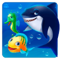 Aqua fish
