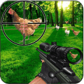 Chicken Shoot : 3D sniper Murgi Shooter
