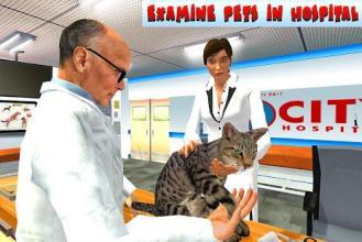  Exploring Pet Simulator X Ranks: A Comprehensive Guide to Climbing the Leaderboard