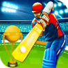 IPL T20 Cricket 2018 Craze