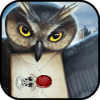 Talking Harry magic rush - mystery games magic app