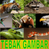 Tebak Gambar Fauna