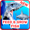 Feed and Grow : Fish Adventure
