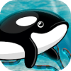 Orca Fish Home Adventure