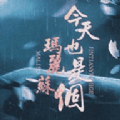 今天也是个玛丽苏