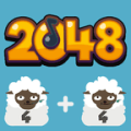2048 BEAT