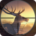 Bg Bucks Dr Hutr 2019 Amal Hutg 3D