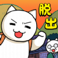 貓與秘寶
