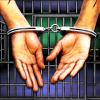 Can You Escape Prison Break
