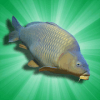 Arcade Carp Fishing Pike, Perch, Catfish & more