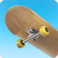Flip Skater