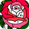 Clr by umbr clr by umbr fr adults