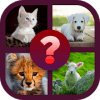 4 Pics 1 Word Pro
