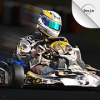 Kart Racing Ultimate Free