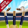 Cricket World Cup Game 2019 – Mini Ground Cricket