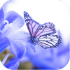 Butterfly Jigsaw Puzzle World