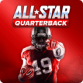 All Star Quarterback 17