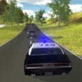 网上彩票黑平台报警,Police Pursuit Online