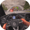 POV Car Driving