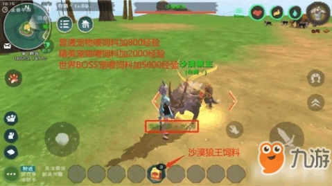 创造与魔法宠物怎么升级 宠物升级攻略